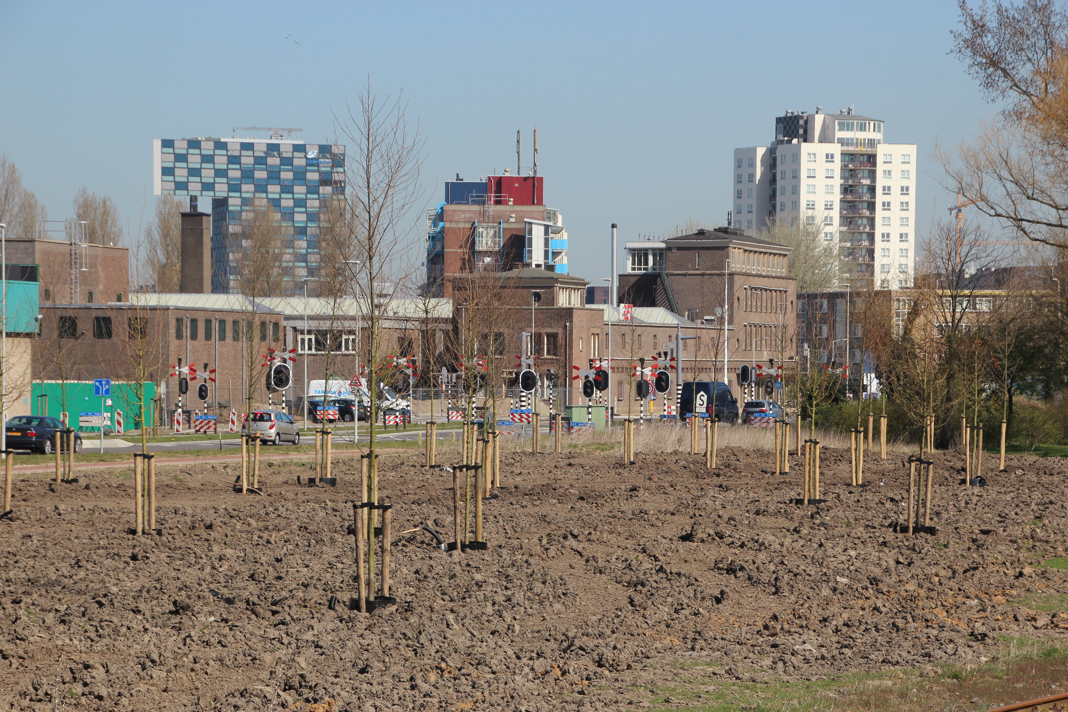 Bomen op het voormalige Van Leeuwenterrein